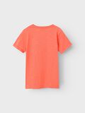 Name it À COUPE CLASSIQUE T-SHIRT, Coral, highres - 13201047_Coral_002.jpg