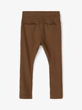 Name it KATOEN BROEK, Desert Palm, highres - 13190643_DesertPalm_004.jpg