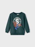 name it SPIDER-MAN SWEATSHIRT, Sea Moss, highres - 13210737_SeaMoss_003.jpg