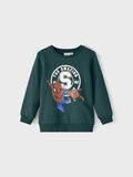 Name it SPIDERMAN SWEATSHIRT, Sea Moss, highres - 13210737_SeaMoss_003.jpg