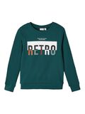 Name it COUPE CLASSIQUE SWEAT-SHIRT, Sea Moss, highres - 13209456_SeaMoss_001.jpg