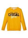 Name it APPLIQUE SWEATSHIRT, Golden Orange, highres - 13168793_GoldenOrange_001.jpg