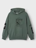 name it ORGANIC COTTON HOODIE, Dark Forest, highres - 13236403_DarkForest_003.jpg
