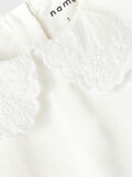 name it SPARKEDRAKT, White Alyssum, highres - 13205010_WhiteAlyssum_005.jpg