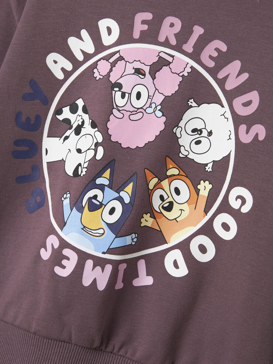 Name it BLUEY SWEATSHIRT, Arctic Dusk, highres - 13245534_ArcticDusk_005.jpg