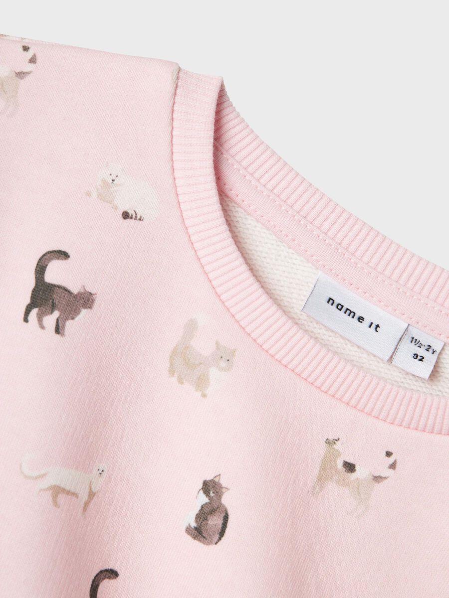 name it COUPE CLASSIQUE SWEAT-SHIRT, Ballerina, highres - 13241762_Ballerina_1177859_005.jpg