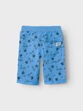 Name it PRINTED SHORTS, All Aboard, highres - 13214389_AllAboard_002.jpg