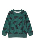 Name it RACCOON PRINT SWEATSHIRT, Bistro Green, highres - 13188506_BistroGreen_001.jpg