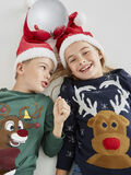 Name it CHRISTMAS REINDEER PRINT SWEATSHIRT, Hunter Green, highres - 13185759_HunterGreen_005.jpg