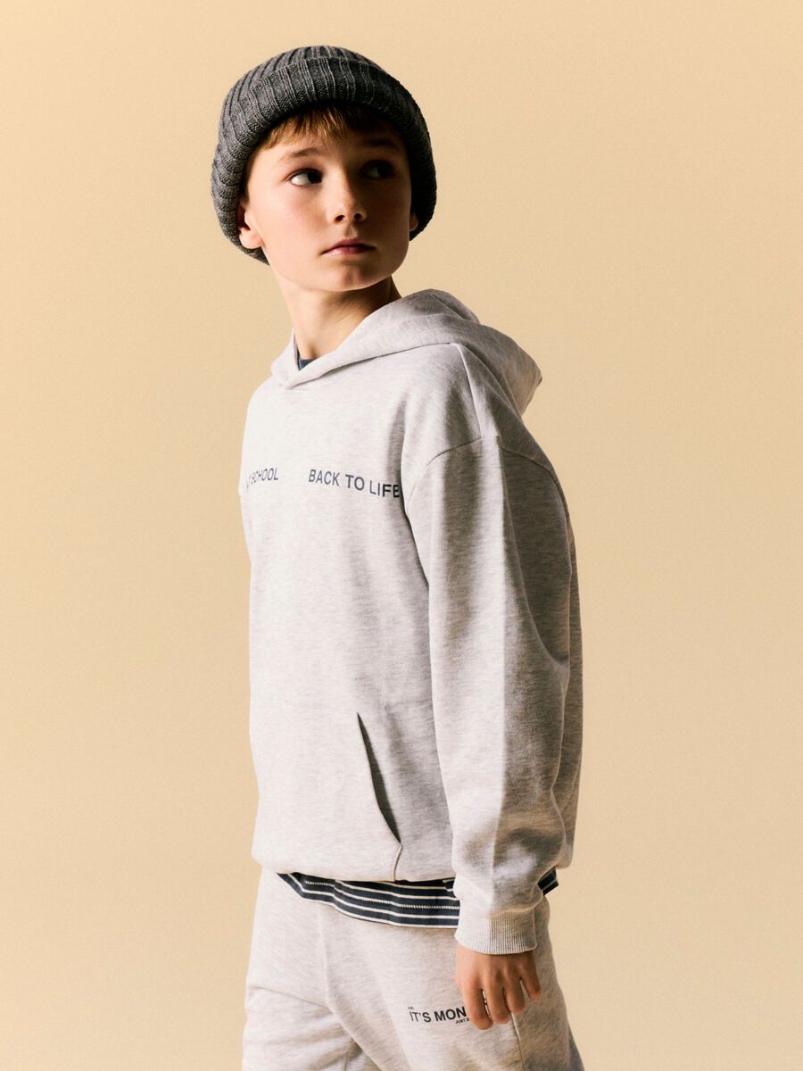 Product carousel image 1 ORGANIC COTTON HOODIE, Light Grey Melange
