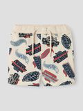 name it HOT WHEELS SHORTS, Peyote Melange, highres - 13243012_PeyoteMelange_003.jpg