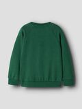 Product image thumbnail - REGULAR FIT SWEATSHIRT, Verdant Green | 2