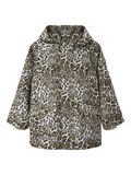 name it GIACCA, Silver Mink, highres - 13244164_SilverMink_001.jpg