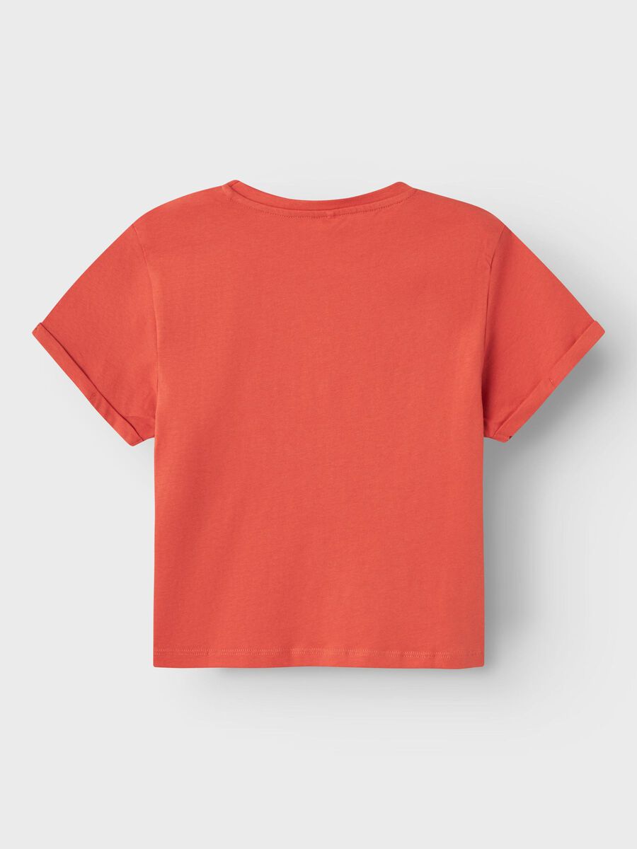 name it NORMAL PASSFORM T-SKJORTE, Burnt Sienna, highres - 13226781_BurntSienna_002.jpg