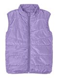 name it ACOLCHADA CHALECO, Sand Verbena, highres - 13211761_SandVerbena_001.jpg