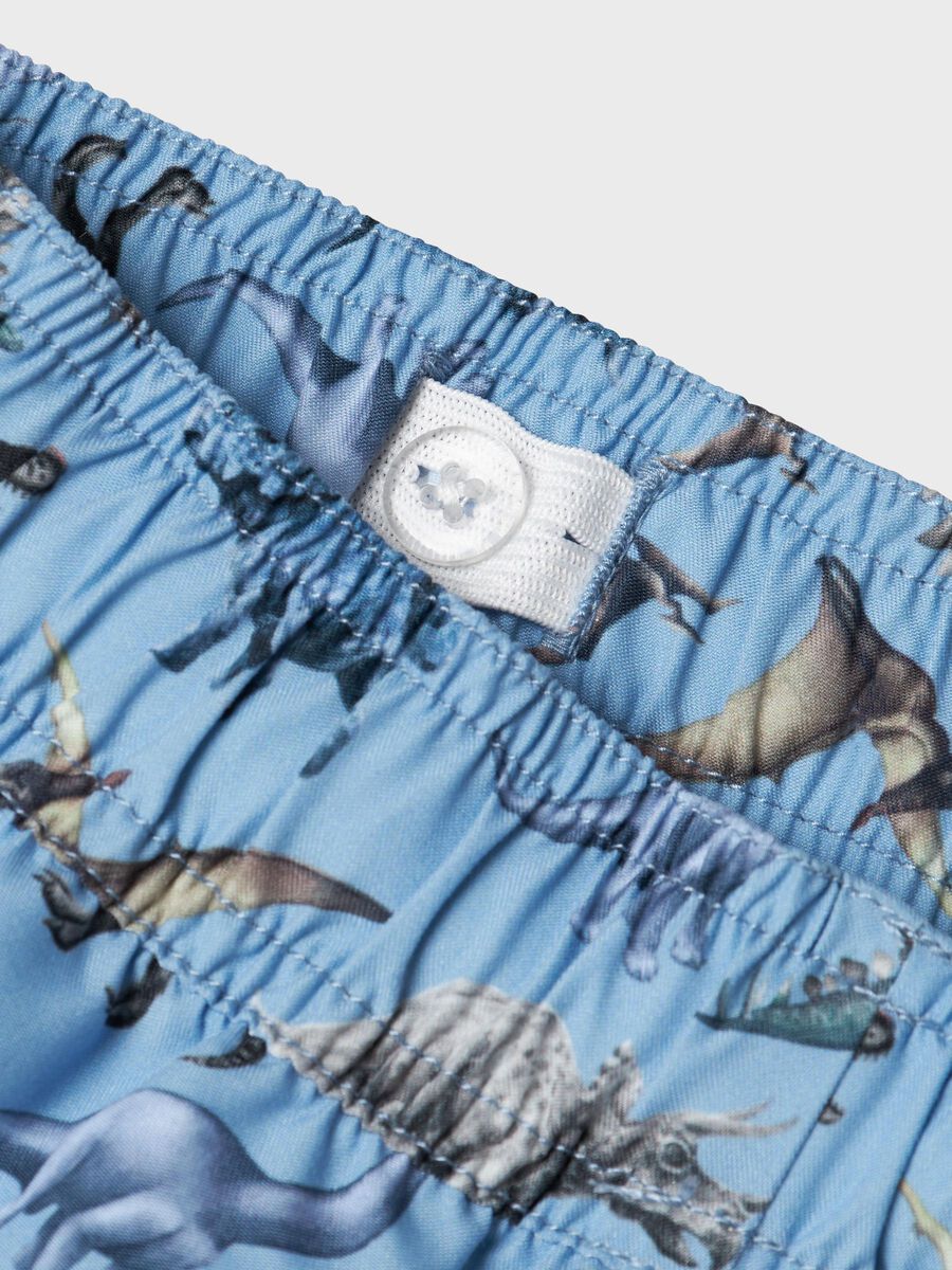 name it PRINTED SWIM SHORTS, Mountain Spring, highres - 13239792_MountainSpring_005.jpg