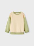 Name it COUPE AMPLE SWEAT-SHIRT, Sage, highres - 13219990_Sage_003.jpg