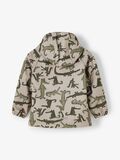 Name it KROKODILPRINT SOFTSHELL-JACKE, Silver Mink, highres - 13191047_SilverMink_004.jpg