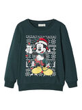 Name it DISNEY JULE MICKEY MOUSE SWEATSHIRT, Green Gables, highres - 13174596_GreenGables_001.jpg