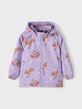 name it ALFA SOFTSHELL-JACKE, Sand Verbena, highres - 13217160_SandVerbena_003.jpg