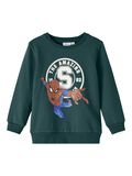 Name it SPIDER-MAN SWEATSHIRT, Sea Moss, highres - 13210737_SeaMoss_001.jpg