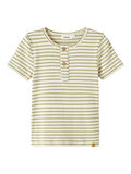 Name it T-SHIRT, Sage, highres - 13222104_Sage_001.jpg