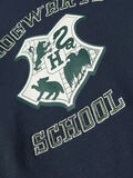 name it HARRY POTTER SWEATSHIRT, Dark Sapphire, highres - 13210593_DarkSapphire_005.jpg