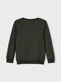 Name it COL RAS-DU-COU SWEAT-SHIRT, Rosin, highres - 13192128_Rosin_002.jpg