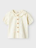 name it CAMICIA, Turtledove, highres - 13240746_Turtledove_003.jpg