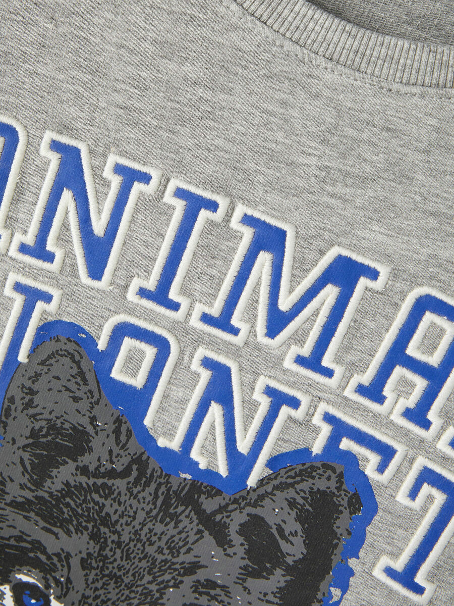 Carousel image - ANIMAL PLANET SWEATSHIRT, Grey Melange | 3