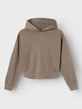 name it BIOLOGISCH KATOEN HOODIE, Chocolate Chip, highres - 13234590_ChocolateChip_003.jpg