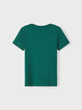 Name it T-SHIRT, Forest Biome, highres - 13211585_ForestBiome_002.jpg