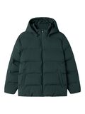 name it PUFFER JAS, Darkest Spruce, highres - 13238561_DarkestSpruce_001.jpg