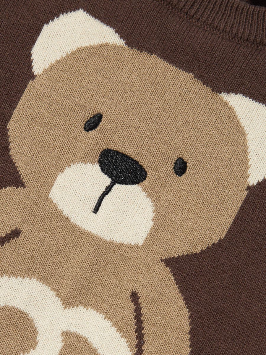 name it ORGANIC COTTON KNITTED PULLOVER, Bracken, highres - 13235377_Bracken_005.jpg