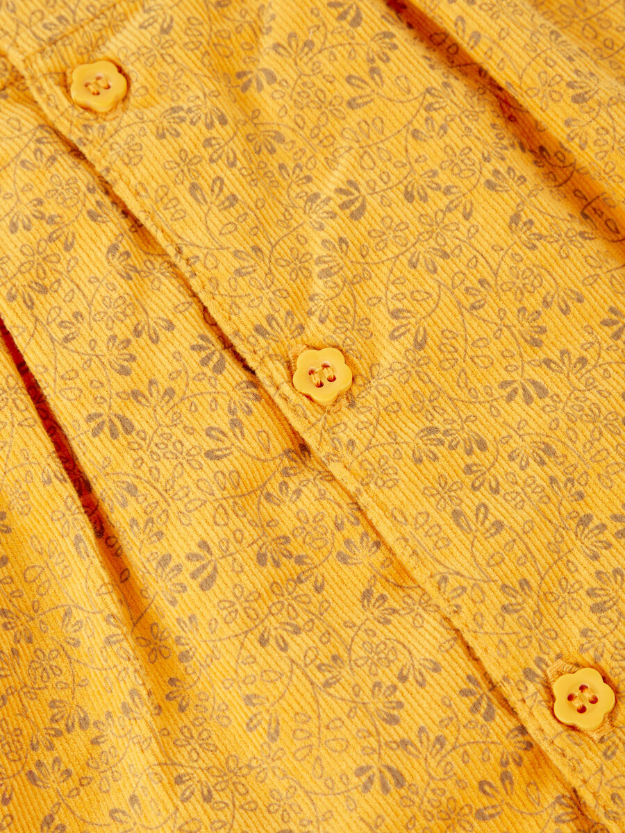 Name it KUKKAKUVIOLLINEN VAKOSAMETTINEN MEKKO, Golden Orange, highres - 13169260_GoldenOrange_007.jpg