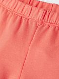 name it LEGGINSY, Crabapple, highres - 13195885_Crabapple_005.jpg