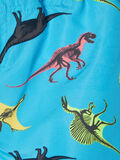 Name it DINOSAUR PRINT SWIM SHORTS, Hawaiian Ocean, highres - 13175101_HawaiianOcean_006.jpg