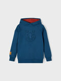 Name it ESTAMPADO EN 3D SUDADERA CON CAPUCHA, Titan, highres - 13199899_Titan_003.jpg