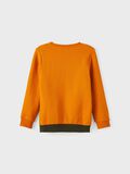 Name it COLOURBLOCK- SWEATSHIRT, Rosin, highres - 13203041_Rosin_002.jpg