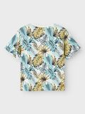 name it T-SHIRT, Cloud Dancer, highres - 13241235_CloudDancer_002.jpg