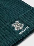 Name it HARRY POTTER GORRO, Sea Moss, highres - 13210597_SeaMoss_005.jpg