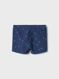 name it HAIFISCH BADESHORTS, Titan, highres - 13199801_Titan_002.jpg