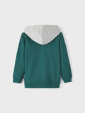 Name it NORMAL PASSFORM HOODIE, Sea Moss, highres - 13209487_SeaMoss_002.jpg