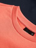 Name it COLOUR SWEATSHIRT, Spiced Coral, highres - 13164358_SpicedCoral_006.jpg