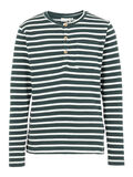 Name it STRIPED LONG-SLEEVED T-SHIRT, Green Gables, highres - 13168026_GreenGables_001.jpg