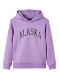 Name it CITY HOODIE SWEATSHIRT, Hyacinth, highres - 13206967_Hyacinth_001.jpg