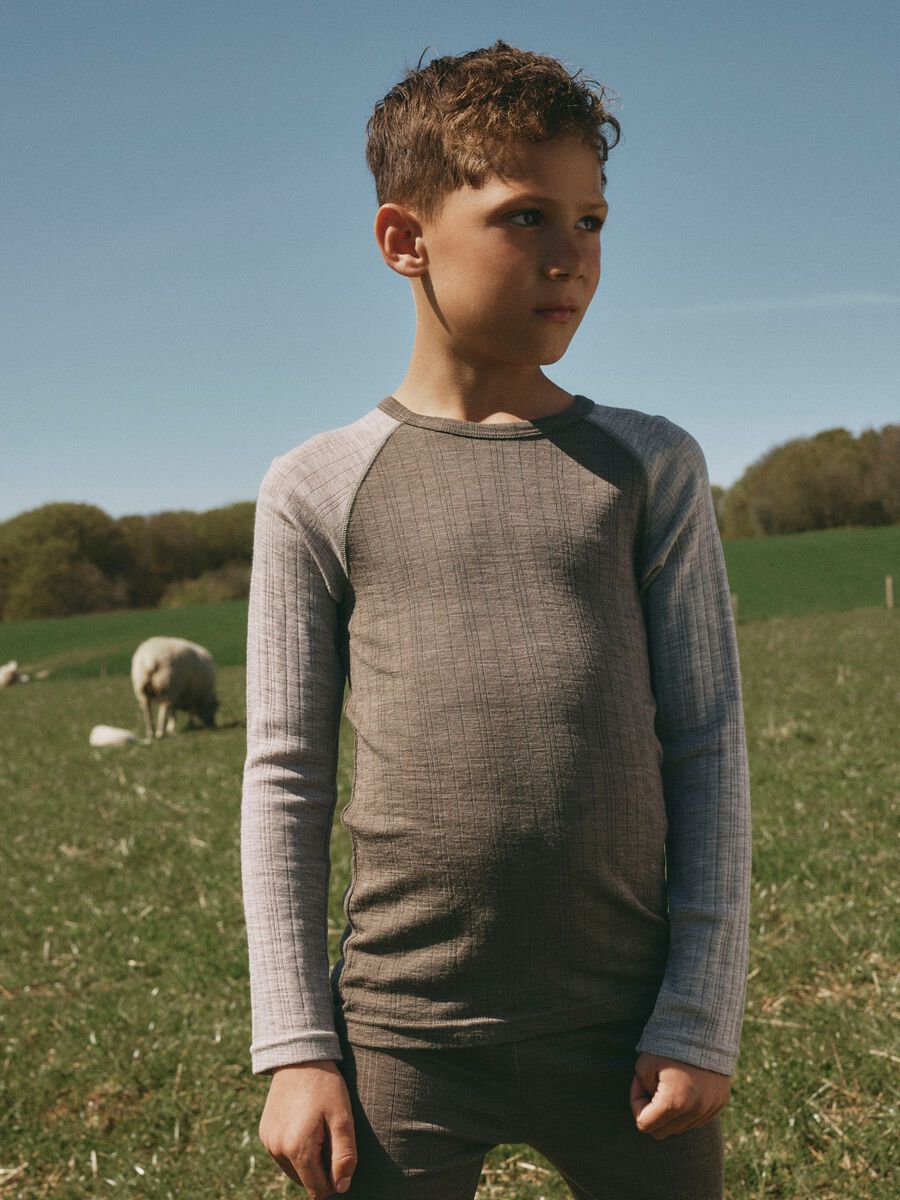 Product carousel image 1 MERINO WOOL LONG SLEEVED TOP, Morel