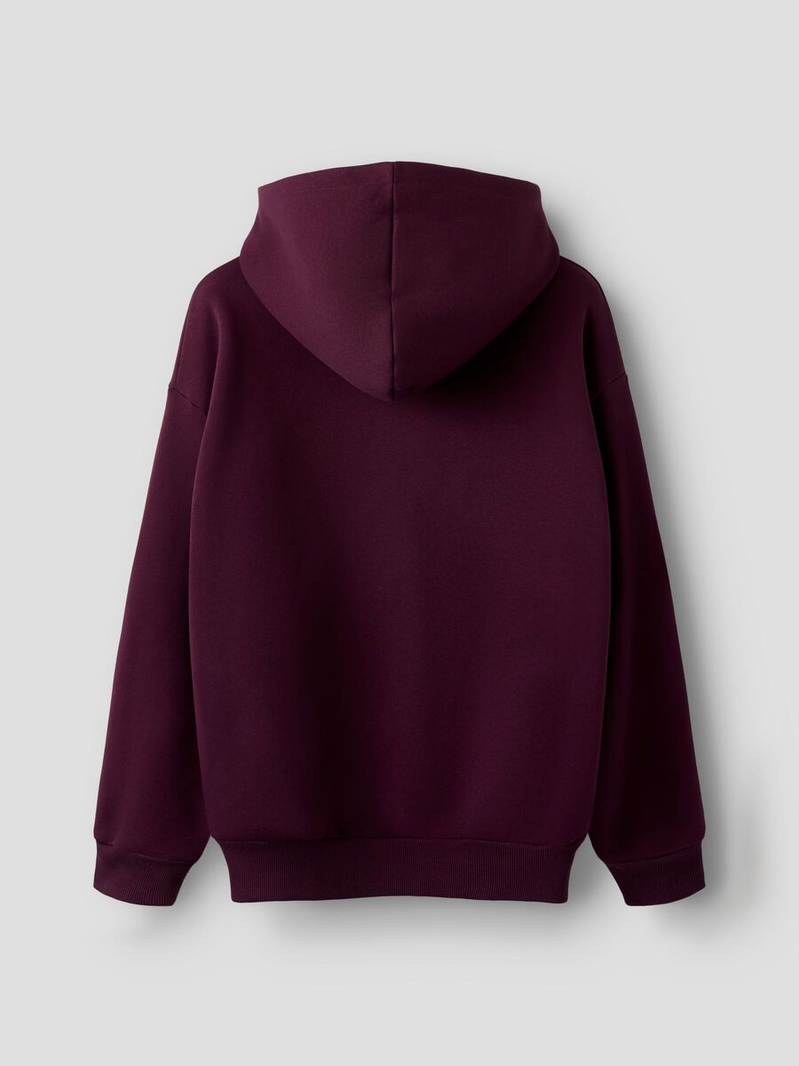 Carousel image - REGULAR FIT HOODIE, Fig | 4
