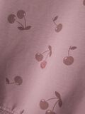 name it LUOMUPUUVILLA SVETARI, Elderberry, highres - 13238917_Elderberry_005.jpg
