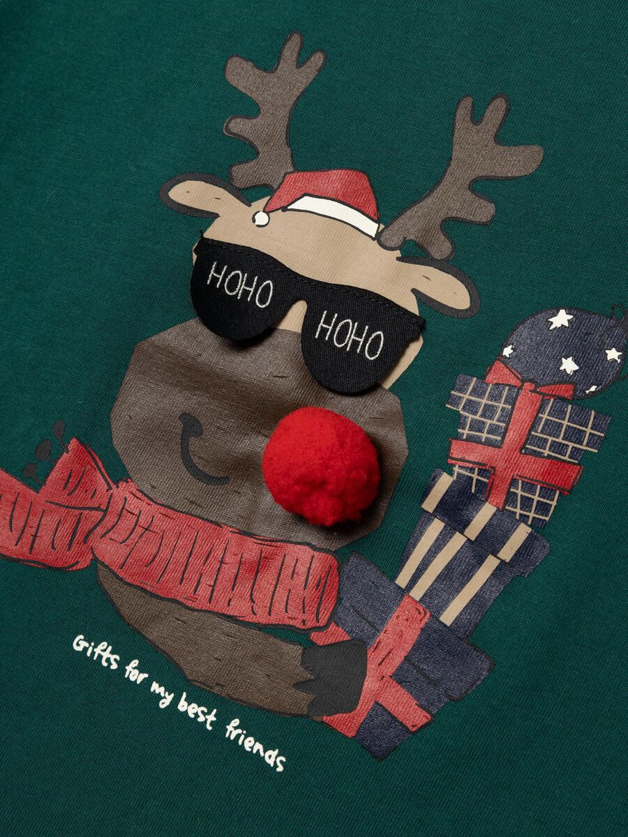 Carousel image - KERST TOP MET LANGE MOUWEN, Botanical Garden | 3